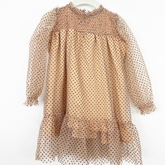 ZARA Toddler Girls’ Polka Dot Sheer Dress sz 4-5 yrs - Picture 1 of 6
